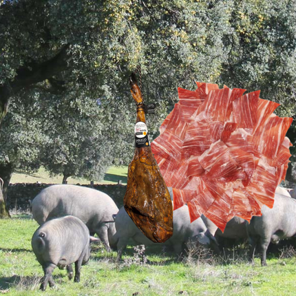 Iberico Ham Kopen in België en Nederland