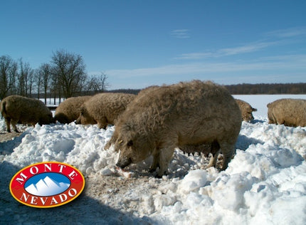 Monte Nevado Monte Nevado Mangalica Ham  Plakjes 85 gr